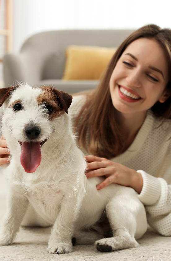 Pet My Paw - In Home Pet Care & Sitting